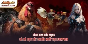 Cách Xem Màu Mạng Gà Đá Cựa Sắt