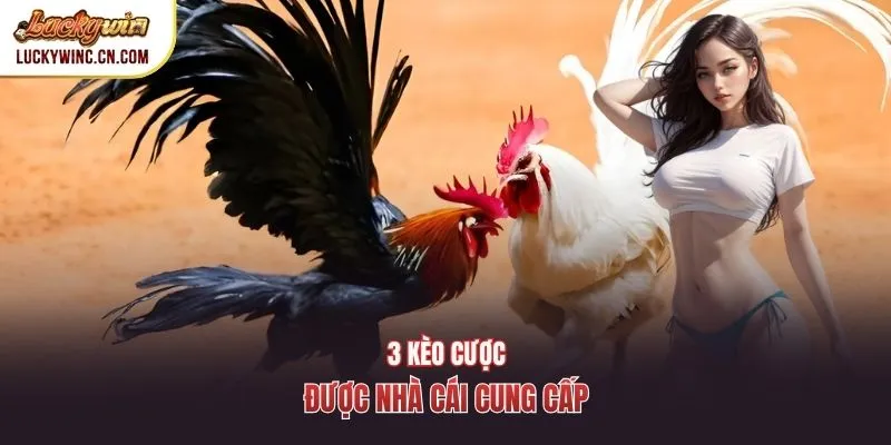 3 kèo cược được nhà cái cung cấp