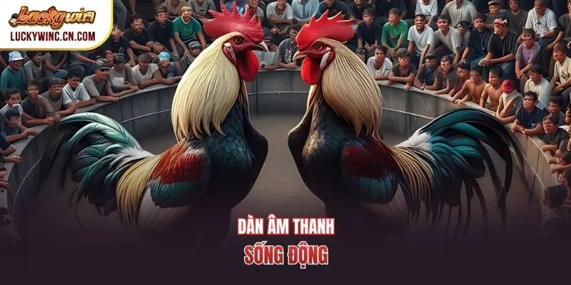Dàn âm thanh sống động