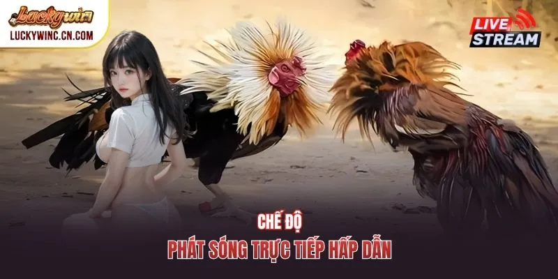 Chế độ phát sóng trực tiếp hấp dẫn