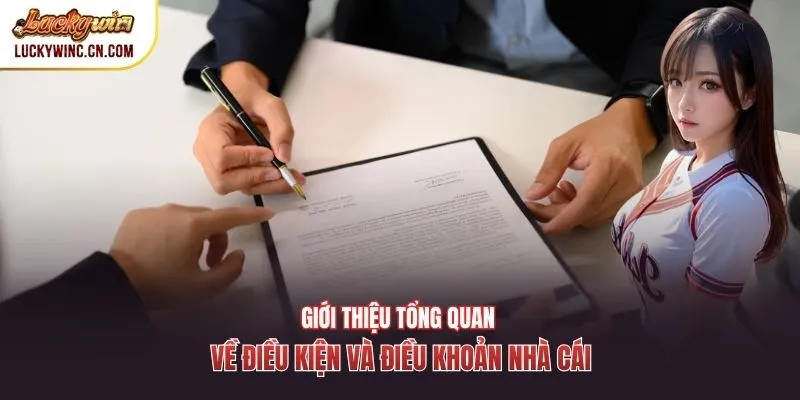 Giới thiệu tổng quan về điều kiện và điều khoản nhà cái