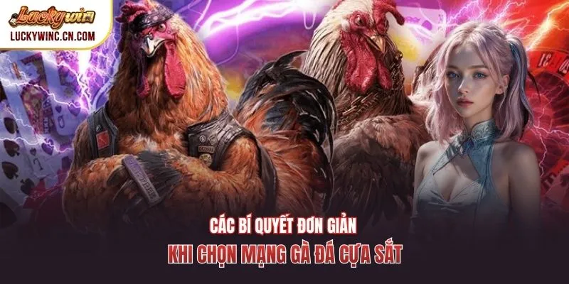 Các bí quyết đơn giản khi chọn mạng gà đá cựa sắt