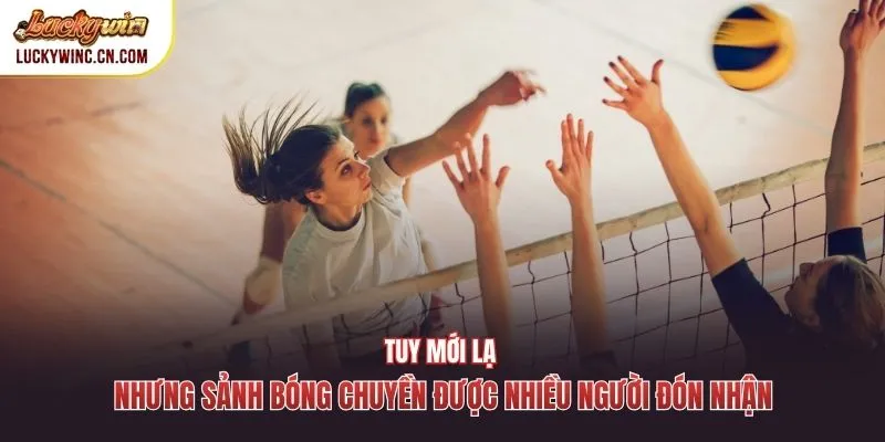 Tuy mới lạ nhưng sảnh bóng chuyền được nhiều người đón nhận