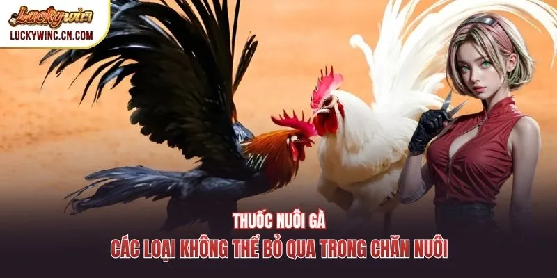 Thuốc Nuôi Gà
