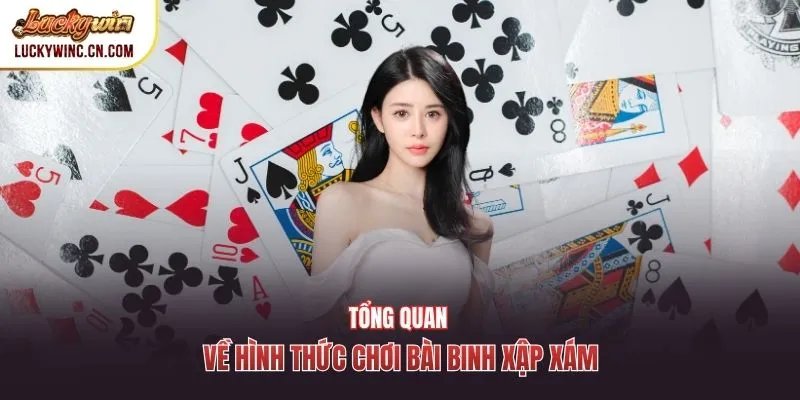 Tổng quan về hình thức chơi bài binh xập xám